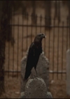 VampireDiariesWorld-dot-org-S3TVD_3x16-1912-0402.jpg