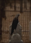 VampireDiariesWorld-dot-org-S3TVD_3x16-1912-0403.jpg