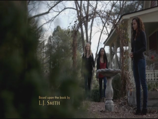 VampireDiariesWorld-dot-org-S3TVD_3x17BreakOnThrough0262.jpg