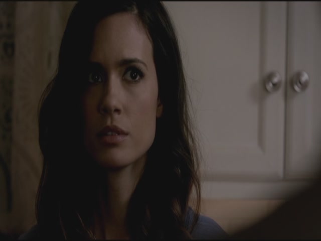 VampireDiariesWorld-dot-org-S3TVD_3x17BreakOnThrough1665.jpg