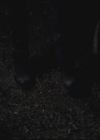 VampireDiariesWorld-dot-org-S3TVD_3x19HeartOfDarkness2200.jpg