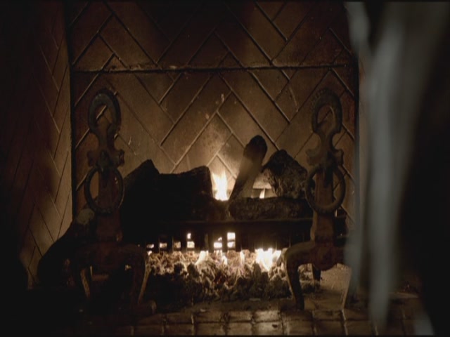 VampireDiariesWorld-dot-org-S3TVD_3x20DoNotGoGentle0024.jpg