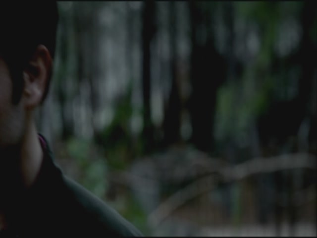 VampireDiariesWorld-dot-org-S3TVD_3x20DoNotGoGentle0359.jpg