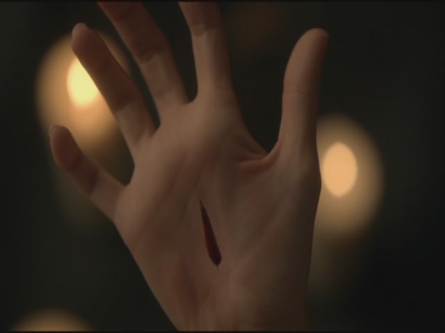 VampireDiariesWorld-dot-org-S3TVD_3x20DoNotGoGentle1197.jpg