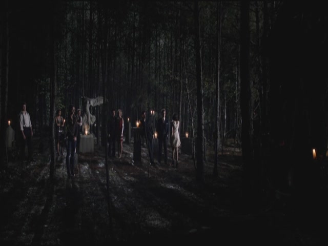 VampireDiariesWorld-dot-org-S3TVD_3x20DoNotGoGentle1754.jpg