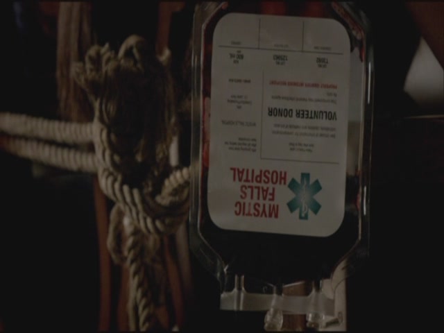 VampireDiariesWorld-dot-org-S3TVD_3x21BeforeSunset1540.jpg