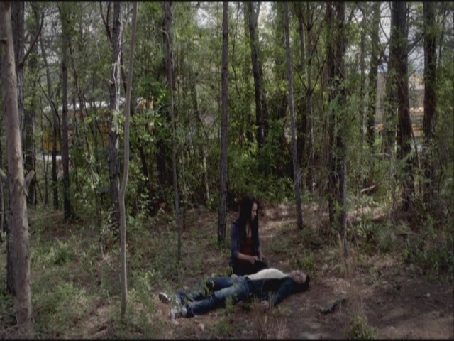 VampireDiariesWorld-dot-org-S3TVD_3x21BeforeSunset1708.jpg