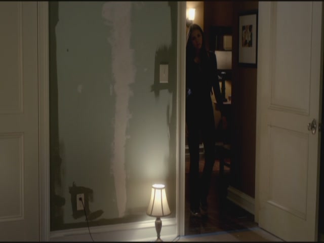 VampireDiariesWorld-dot-org-S3TVD_3x21BeforeSunset2152.jpg