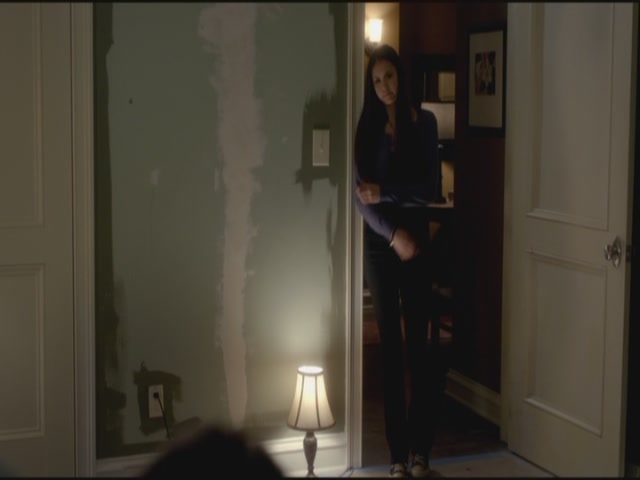 VampireDiariesWorld-dot-org-S3TVD_3x21BeforeSunset2154.jpg