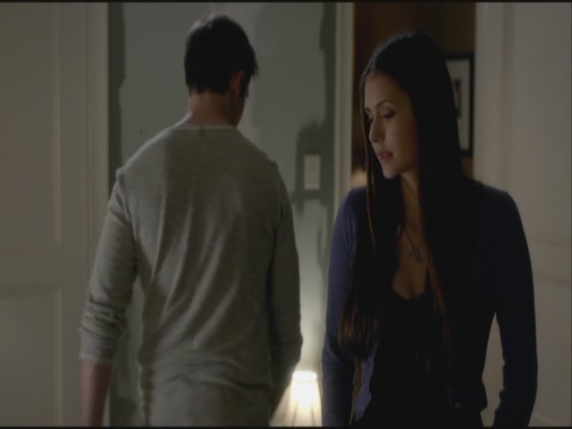VampireDiariesWorld-dot-org-S3TVD_3x21BeforeSunset2225.jpg