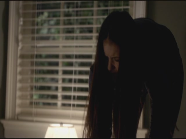 VampireDiariesWorld-dot-org-S3TVD_3x21BeforeSunset2247.jpg