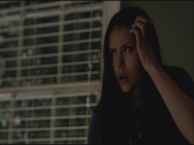 VampireDiariesWorld-dot-org-S3TVD_3x21BeforeSunset2250.jpg