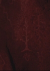 VampireDiariesWorld-dot-org-DeletedScenes-3x08OrdinaryPeople0028.jpg