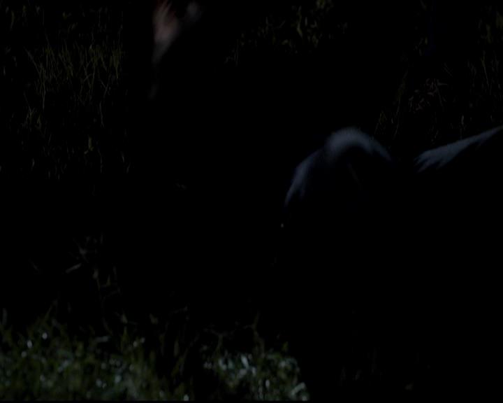 VampireDiariesWorld-dot-org_4x01GrowingPains1866.jpg VampireDiariesWorld-dot-org_4x01GrowingPains1866.jpg