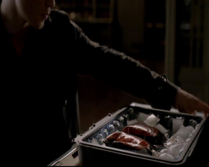 VampireDiariesWorld-dot-org_4x01GrowingPains2048.jpg