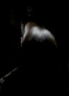 VampireDiariesWorld-dot-org_4x01GrowingPains0248.jpg
