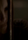 VampireDiariesWorld-dot-org_4x01GrowingPains1213.jpg