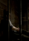 VampireDiariesWorld-dot-org_4x01GrowingPains1498.jpg