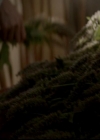 VampireDiariesWorld-dot-org_4x01GrowingPains2233.jpg