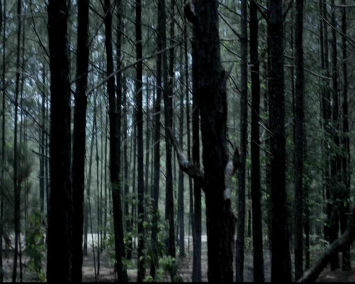 VampireDiariesWorld-dot-org_4x02Memorial0000.jpg