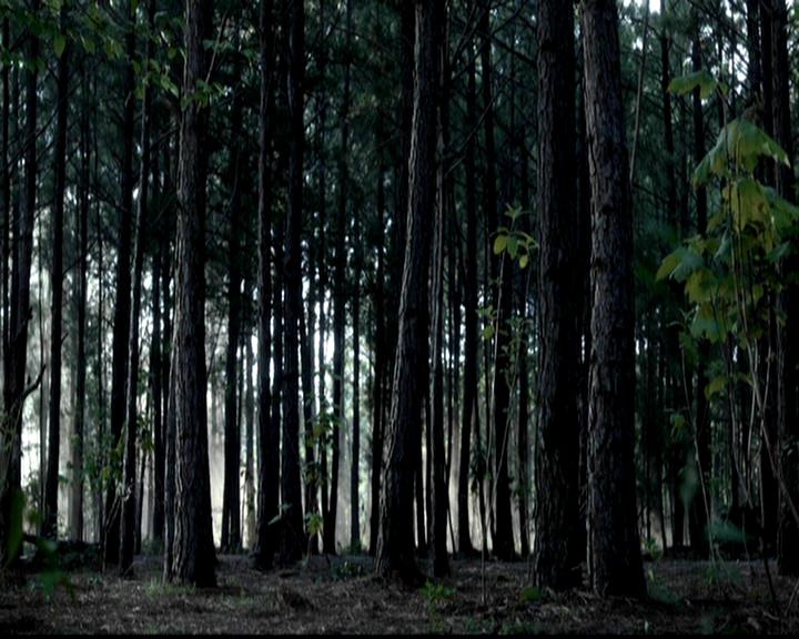 VampireDiariesWorld-dot-org_4x02Memorial0194.jpg