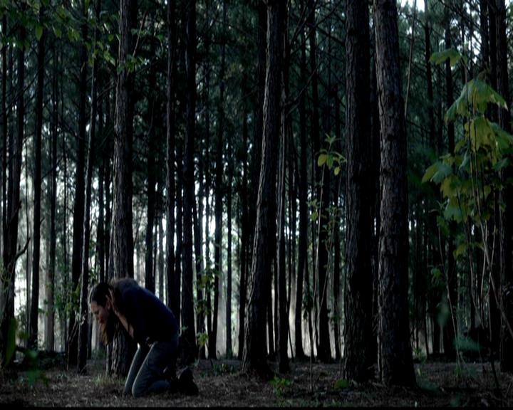 VampireDiariesWorld-dot-org_4x02Memorial0197.jpg VampireDiariesWorld-dot-org_4x02Memorial0197.jpg