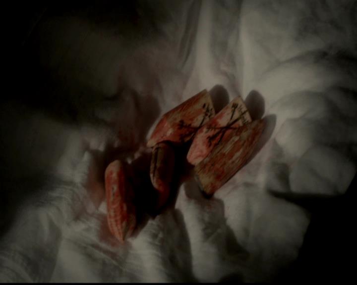 VampireDiariesWorld-dot-org_4x02Memorial0997.jpg