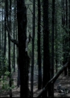 VampireDiariesWorld-dot-org_4x02Memorial0001.jpg