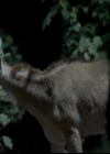 VampireDiariesWorld-dot-org_4x02Memorial0040.jpg