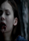 Filename=VampireDiariesWorld-dot-org_4x02Memorial0060.jpg
Filesize=19KiB
Dimensions=720x576
Date added=Dec 05, 2013 VampireDiariesWorld-dot-org_4x02Memorial0060.jpg