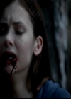 Filename=VampireDiariesWorld-dot-org_4x02Memorial0061.jpg
Filesize=19KiB
Dimensions=720x576
Date added=Dec 05, 2013 VampireDiariesWorld-dot-org_4x02Memorial0061.jpg