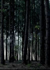 VampireDiariesWorld-dot-org_4x02Memorial0194.jpg