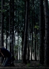 VampireDiariesWorld-dot-org_4x02Memorial0197.jpg
