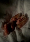 VampireDiariesWorld-dot-org_4x02Memorial0997.jpg