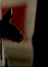 VampireDiariesWorld-dot-org_4x02Memorial1059.jpg