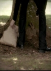 VampireDiariesWorld-dot-org_4x02Memorial1184.jpg