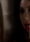 VampireDiariesWorld-dot-org_4x02Memorial1759.jpg