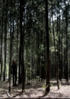 VampireDiariesWorld-dot-org_4x04TheFive0162.jpg