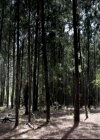 VampireDiariesWorld-dot-org_4x04TheFive0170.jpg