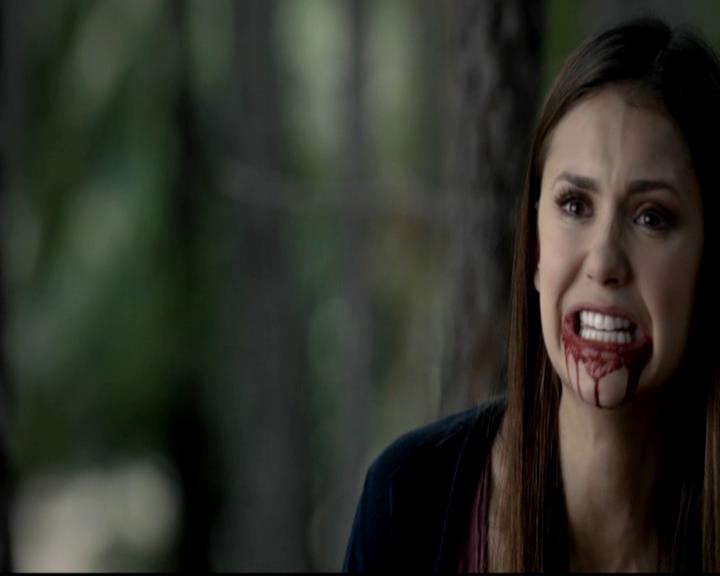 VampireDiariesWorld-dot-org_4x05TheKiller1888.jpg