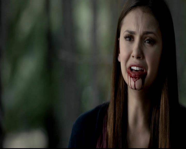 VampireDiariesWorld-dot-org_4x05TheKiller1893.jpg