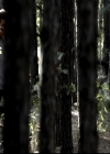 VampireDiariesWorld-dot-org_4x05TheKiller1101.jpg