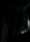 VampireDiariesWorld-dot-org_4x05TheKiller1194.jpg