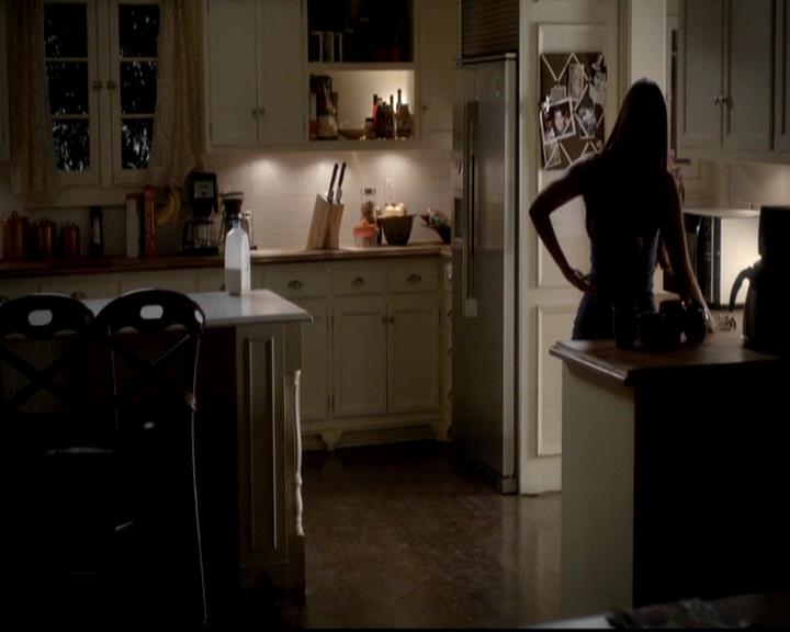 VampireDiariesWorld-dot-org_4x06WeAllGoALittleMadSometimes0024.jpg