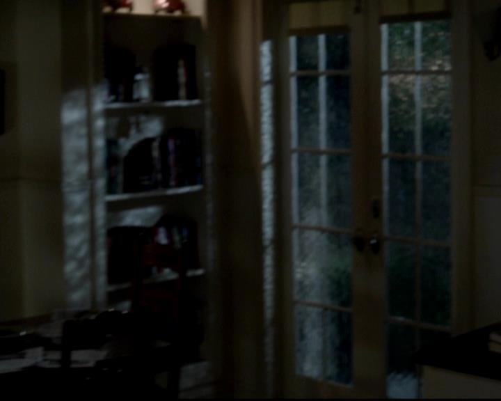 VampireDiariesWorld-dot-org_4x06WeAllGoALittleMadSometimes0030.jpg