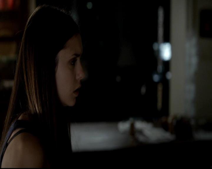 VampireDiariesWorld-dot-org_4x06WeAllGoALittleMadSometimes0033.jpg