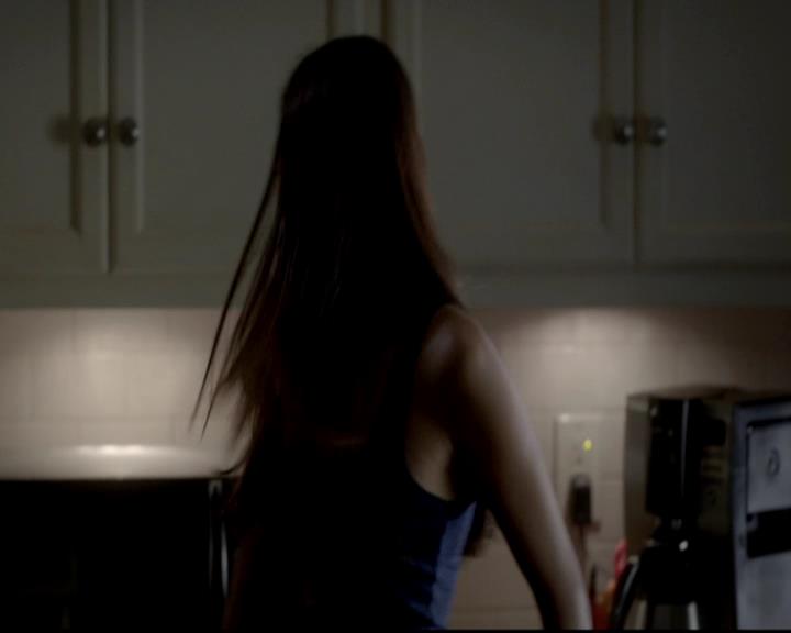 VampireDiariesWorld-dot-org_4x06WeAllGoALittleMadSometimes0034.jpg