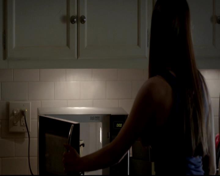 VampireDiariesWorld-dot-org_4x06WeAllGoALittleMadSometimes0039.jpg