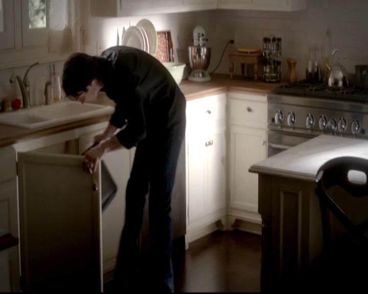 VampireDiariesWorld-dot-org_4x06WeAllGoALittleMadSometimes0510.jpg
