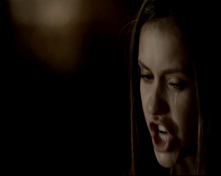 VampireDiariesWorld-dot-org_4x06WeAllGoALittleMadSometimes0989.jpg